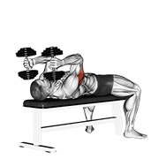 Dumbbell Lying Triceps Extension exercise animation