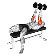 Dumbbell Neutral Grip Bench Press exercise animation