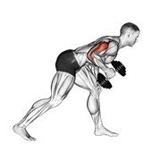 Dumbbell One Arm Kickback exercise animation