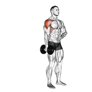 Dumbbell One Arm Lateral Raise form demonstration - targeted for Delts Shoulders workouts