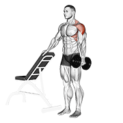 Dumbbell One Arm Lateral Raise With Support exercise animation