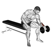 Dumbbell One Arm Reverse Wrist Curl exercise animation