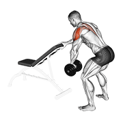 Dumbbell One Arm Reverse Fly (with Support) exercise animation
