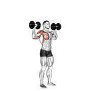 Dumbbell One Arm Shoulder Press exercise animation