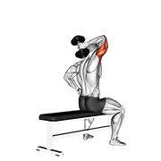 Dumbbell One Arm Triceps Extension (on Bench) form demonstration - targeted for Triceps Upper Arms workouts