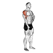 Dumbbell One Arm Upright Row exercise animation