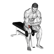 Dumbbell One Arm Wrist Curl form demonstration - targeted for Forearms Lower Arms workouts