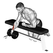 Dumbbell Over Bench One Arm Wrist Curl form demonstration - targeted for Forearms Lower Arms workouts