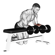 Dumbbell Over Bench Revers Wrist Curl form demonstration - targeted for Forearms Lower Arms workouts