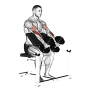 Dumbbell Peacher Hammer Curl exercise animation
