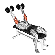 Dumbbell Pronate-Grip Triceps Extension form demonstration - targeted for Triceps Upper Arms workouts