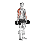 Dumbbell Raise exercise animation