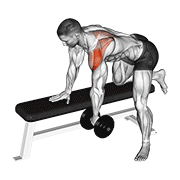 Dumbbell Rear Delt Row_shoulder form demonstration - targeted for Delts Shoulders workouts