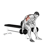 Dumbbell Rear Fly exercise animation
