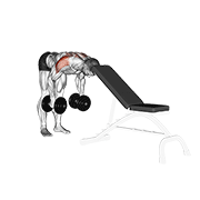 Dumbbell Rear Lateral Raise (support Head) exercise animation