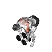Dumbbell Rear Lateral Raise exercise animation