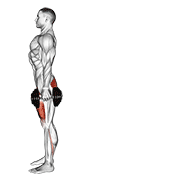 Dumbbell Rear Lunge exercise animation