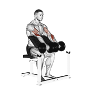 Dumbbell Reverse Preacher Curl exercise animation