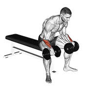 Dumbbell Reverse Wrist Curl exercise animation