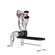 Dumbbell Seated Bench Extension exercise animation
