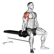 Dumbbell Seated Lateral Raise exercise animation