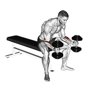 Dumbbell Seated Neutral Wrist Curl form demonstration - targeted for Biceps Upper Arms workouts