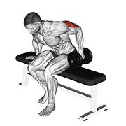 Dumbbell Seated One Arm Kickback exercise animation