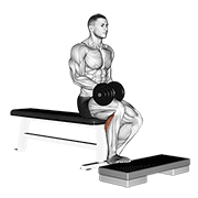 Dumbbell Seated One Leg Calf Raise form demonstration - targeted for Calves Lower Legs workouts