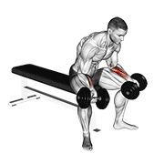 Dumbbell Seated Palms Up Wrist Curl exercise animation