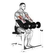 Dumbbell Seated Preacher Curl exercise animation