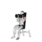 Dumbbell Seated Shoulder Press (parallel Grip) exercise animation