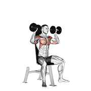 Dumbbell Seated Shoulder Press exercise animation