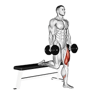 Dumbbell Single Leg Split Squat exercise animation