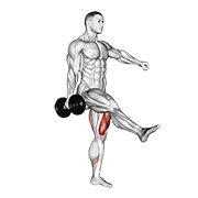 Dumbbell Single Leg Squat exercise animation