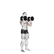 Dumbbell Standing Alternate Overhead Press exercise animation