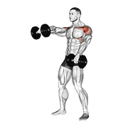 Dumbbell Standing Alternate Raise exercise animation