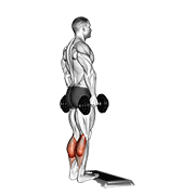Dumbbell Standing Calf Raise exercise animation