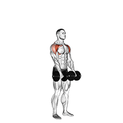 Dumbbell Standing Front Raise Above Head exercise animation
