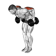 Dumbbell Standing Kickback exercise animation