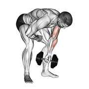 Dumbbell Standing One Arm Concentration Curl exercise animation