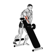 Dumbbell Standing One Arm Curl (over Incline Bench) form demonstration - targeted for Biceps Upper Arms workouts