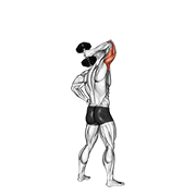 Dumbbell Standing One Arm Extension exercise animation