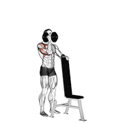 Dumbbell Standing One Arm Palm In Press form demonstration - targeted for Delts Shoulders workouts