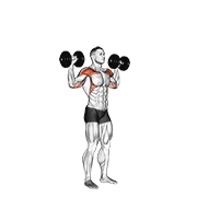Dumbbell Standing Overhead Press exercise animation