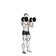 Dumbbell Standing Palms In Press exercise animation