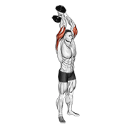 Dumbbell Standing Triceps Extension exercise animation