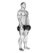Dumbbell Stiff Leg Deadlift form demonstration - targeted for Glutes Upper Legs workouts