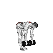 Dumbbell Straight Leg Deadlift exercise animation