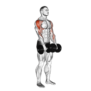 Dumbbell Upright Row exercise animation