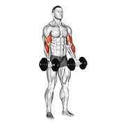 Dumbbell Zottman Curl exercise animation